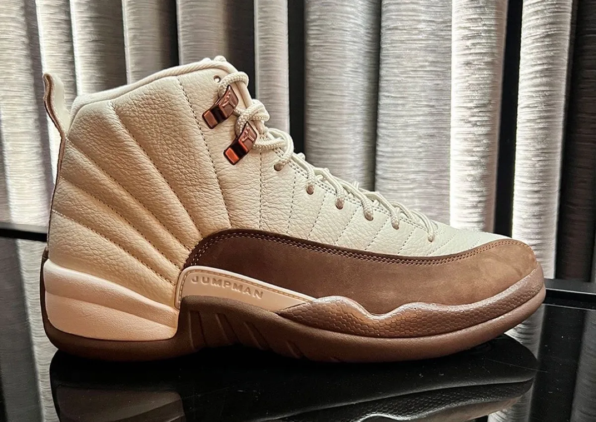 Air Jordan 12 Fireside CT8013-105 side profile view